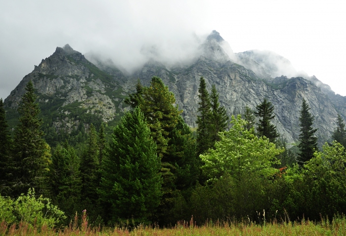 Cestou na Popradské pleso